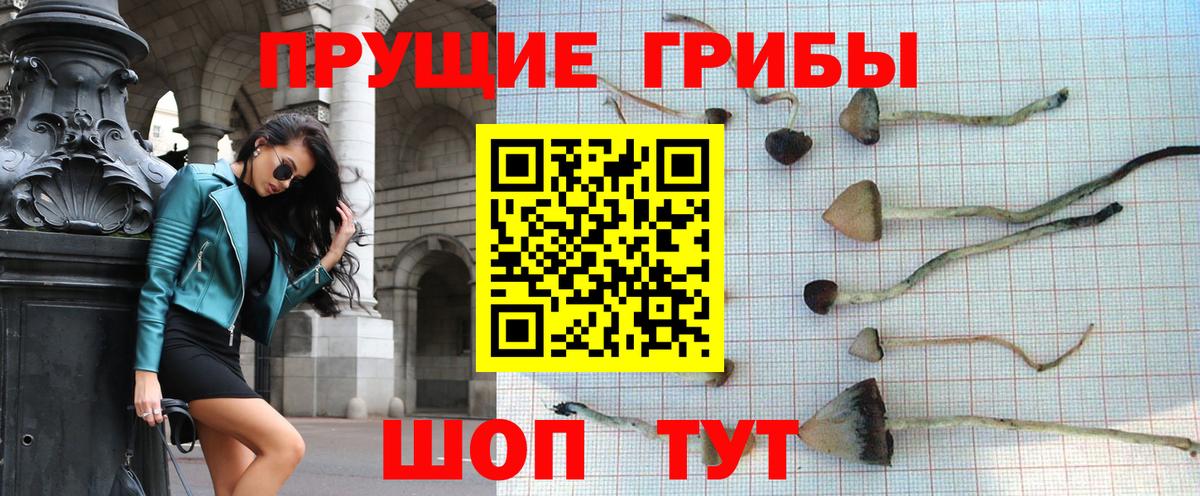 Салават  Галлюциногенные грибы прущие грибы  Вход с VPN 